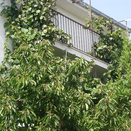 Apartments Prizmic Подстрана Екстериор снимка